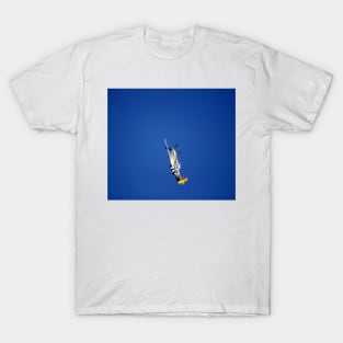 Into the Blue T-Shirt